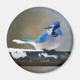 Imán Pintura de Jay azul - Arte de pájaro original