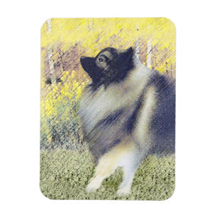 Imán Pintura de Keeshond Aspen - Arte Perro Original Cu