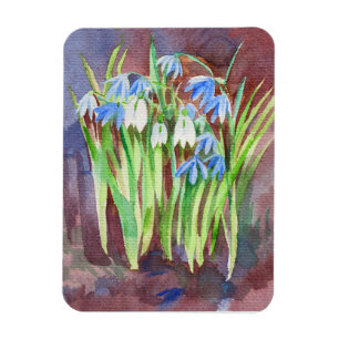 Imán Pintura de la flor azul de la esquirla siberiana