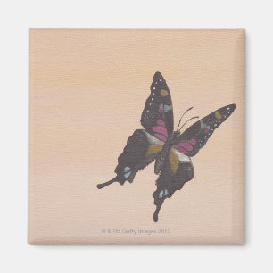 Imán Pintura de la mariposa del swallowtail