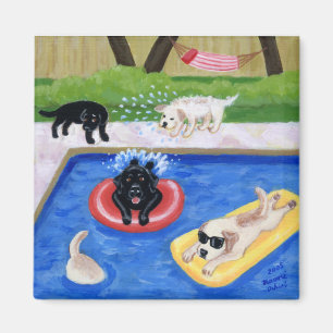 Imán Pintura de Labradors de la fiesta en la piscina
