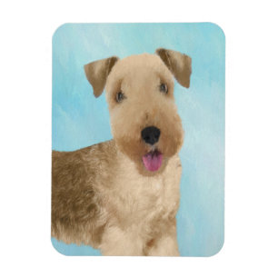 Imán Pintura de Lakeland Terrier - Arte de Perro Origin