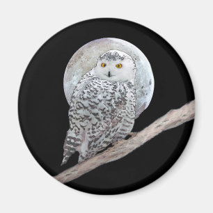 Imán Pintura de lechuza y luna - Arte original de aves