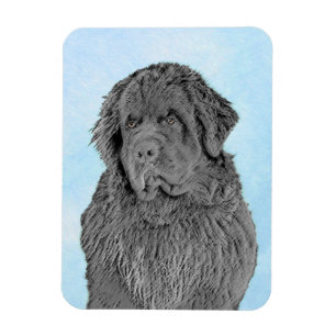 Imán Pintura de Newfoundland - Cute original Dog Art