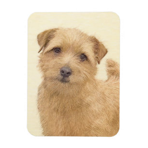 Imán Pintura de Norfolk Terrier - Arte Perro Original