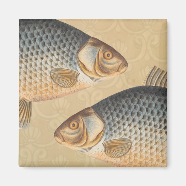 Imán pintura de pesca de carpa dibujo de agua dulce  (Frente)