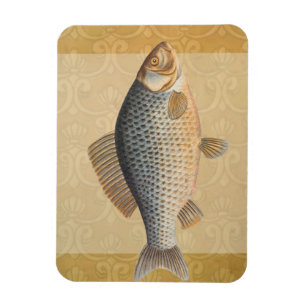 Imán pintura de pesca de carpa dibujo de agua dulce