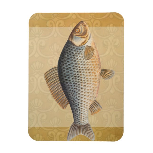 Imán pintura de pesca de carpa dibujo de agua dulce  (Vertical)