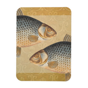 Imán pintura de pesca de carpa dibujo de agua dulce