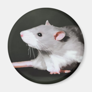 Imán Pintura de rata linda