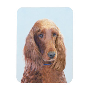 Imán Pintura de Setter Irlandés - Arte de Perro Origina