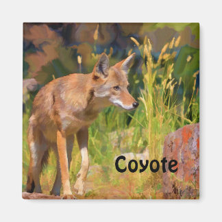 Imán Pintura de vida salvaje en el Coyote de Verano