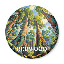 Pintura del bosque del Parque Nacional Redwoods Ca