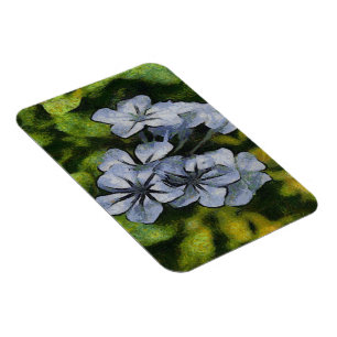 Imán Pintura Delicada Blue Plumbago Blossom