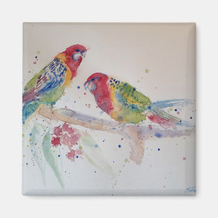 Imán Pintura en Acuarela de Loro Rosella Rojo