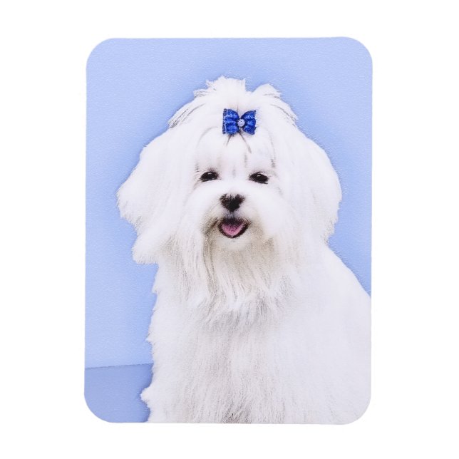Imán Pintura maltesa - Arte de perro original muy lindo (Vertical)