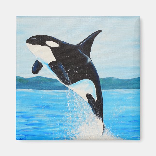 Imán Pintura Orca (Frente)