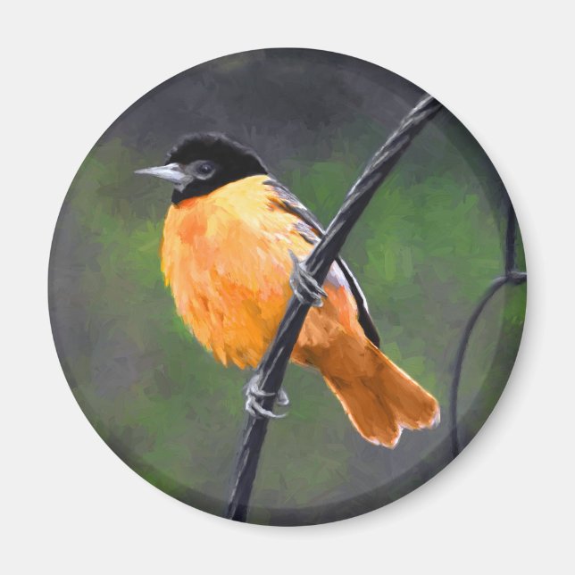 Imán Pintura Oriole - Arte original de aves (Frente)