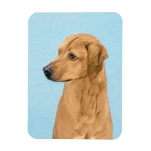 Imán Pintura Ridgeback Rhodesiana - Arte Perro Original