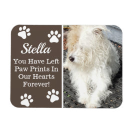 Imán Pinturas en nuestro corazón, pérdida de Mascota