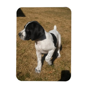 Imán Piper de tubería