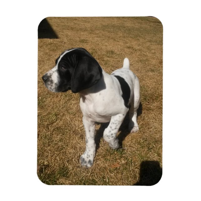 Imán Piper de tubería (Vertical)