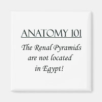 Pirámides renales no localizadas en Egipto