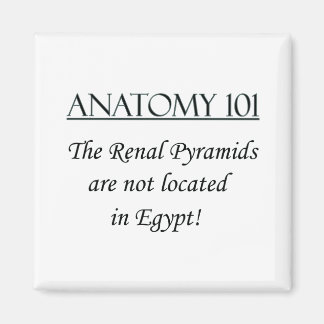Imán Pirámides renales no localizadas en Egipto