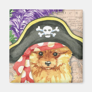 Imán Pirata de Pomeranian