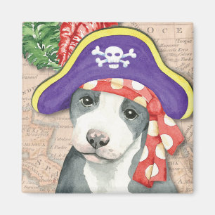 Imán Pirata de Terrier de pitbull