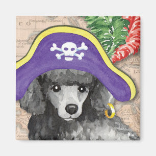 Imán Pirata del caniche miniatura