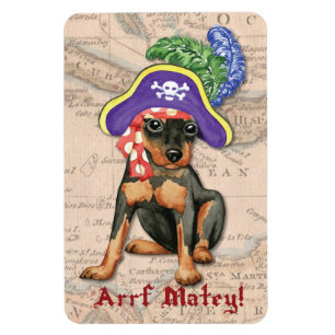 Imán Pirata del Pinscher miniatura