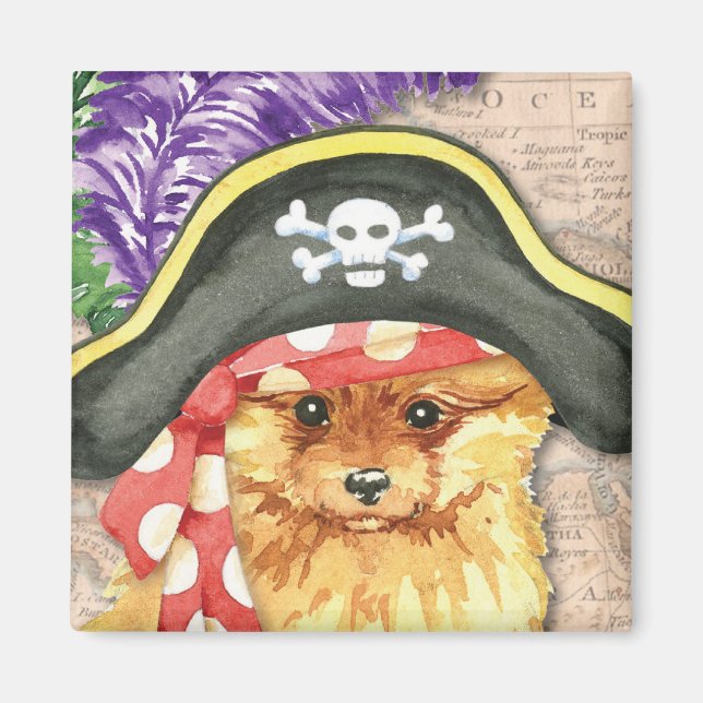 Imán Pirata Pomerania (Frente)