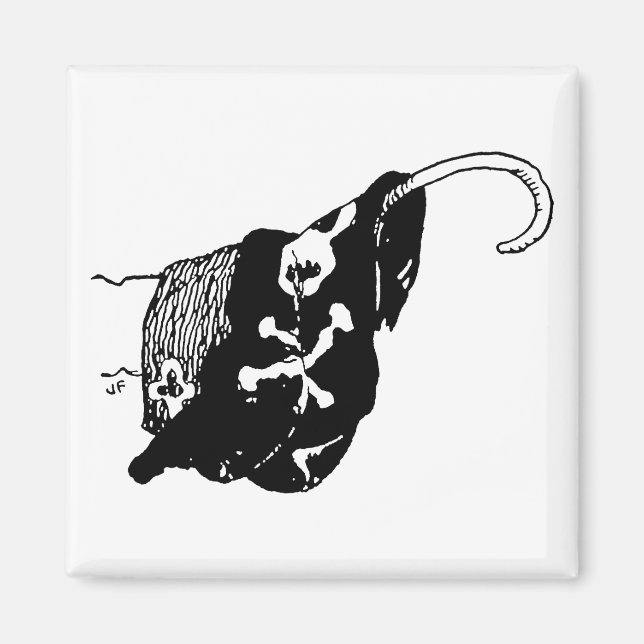 Imán Pirate Hook (Frente)