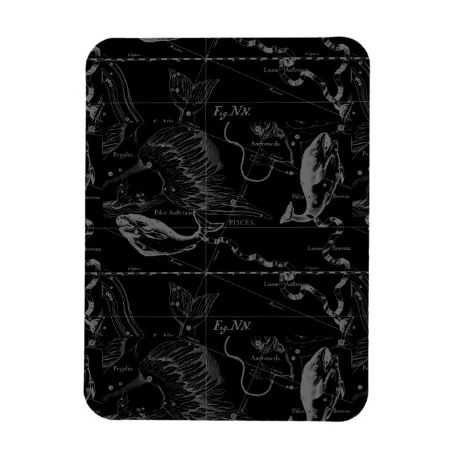 Imán Pisces Constellation Hevelius 1690 en negro (Vertical)