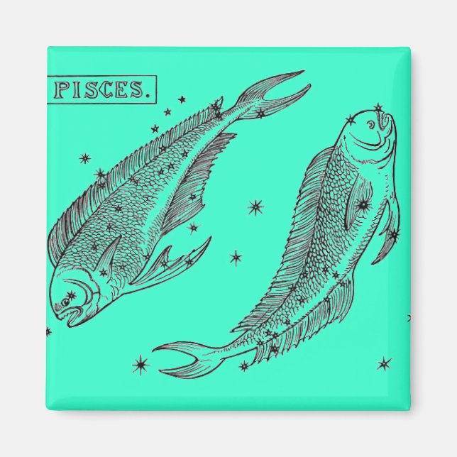 Imán Pisces Magnet (Frente)