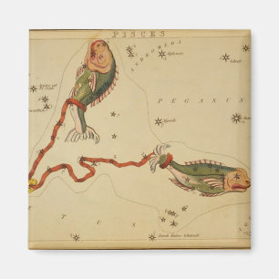 Imán Pisces Magnet