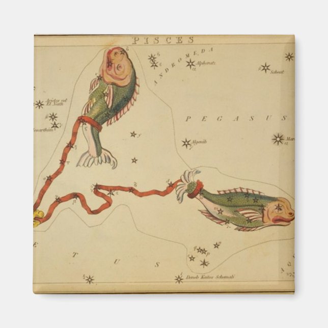 Imán Pisces Magnet (Frente)