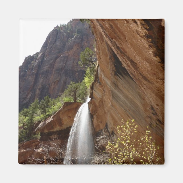 Imán Piscina esmeralda cae III del Parque Nacional de Z (Frente)