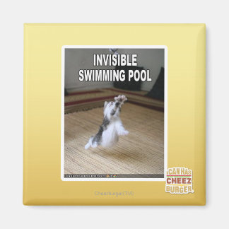 Imán Piscina Invisible