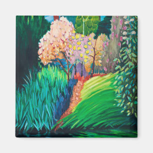 Imán Piscina oscura