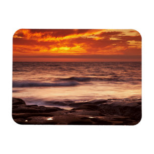 Imán Piscinas de marea de La Jolla