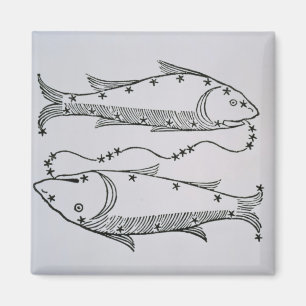 Imán Piscis (los pescados) un ilustracion del 'poeta
