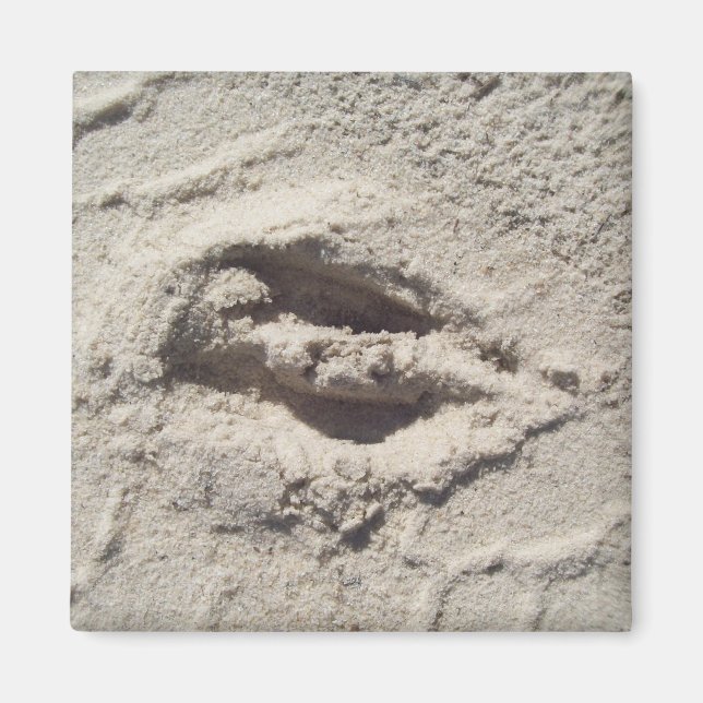 Imán pista de cierres (Frente)