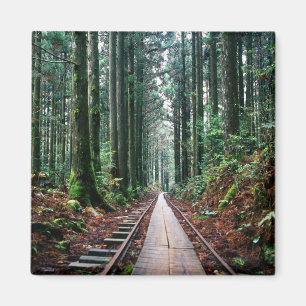 Imán Pistas del tren en el bosque