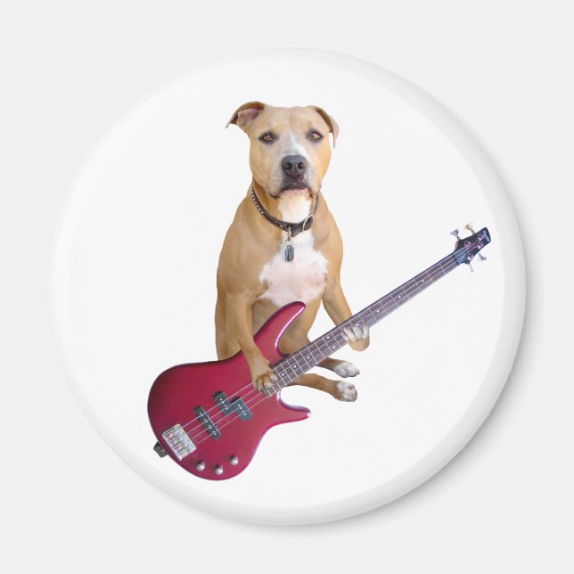 Imán Pit Bull con guitarra (Frente)