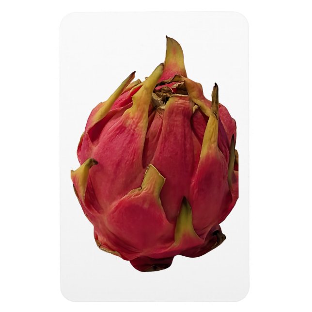 Imán Pitaya Photo Magnet (Vertical)