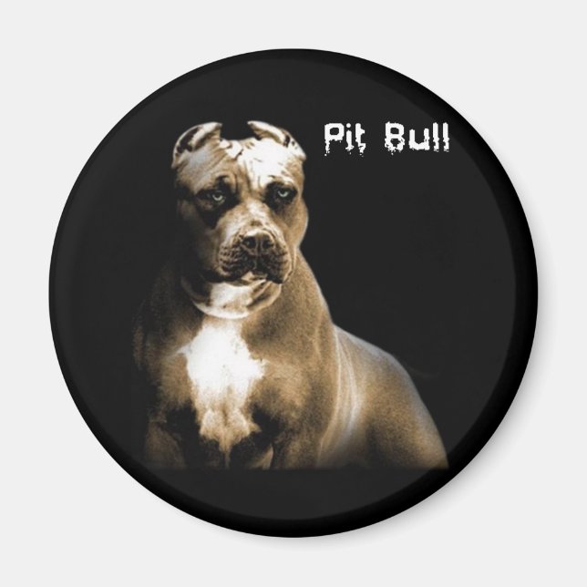 Imán PITbull (Frente)