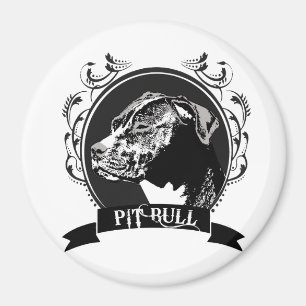 IMÁN PITBULL (3)