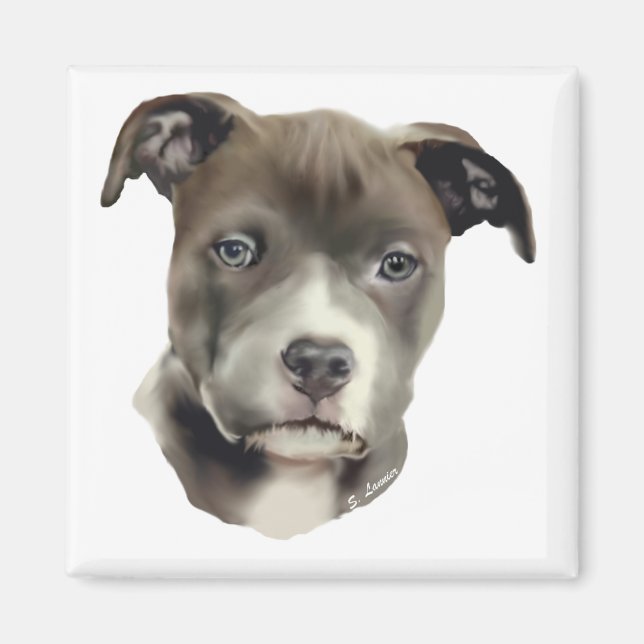 Imán Pitbull azul (Frente)